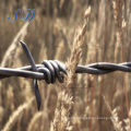 electro galvanized iron fence barbed wire